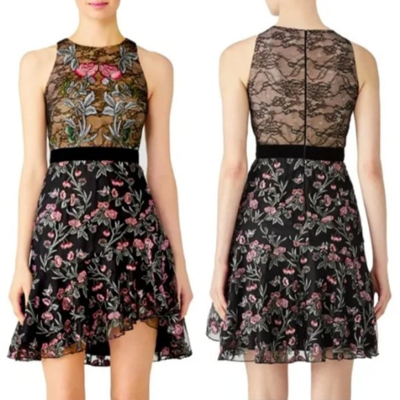 Monique Lhuillier Dresses & Skirts - Monique L huillier Rose Sleeveless Sheer Embroidered Ruffle Hem Dress 18W NEW
